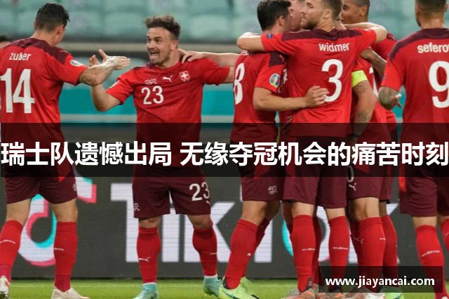 瑞士队遗憾出局 无缘夺冠机会的痛苦时刻