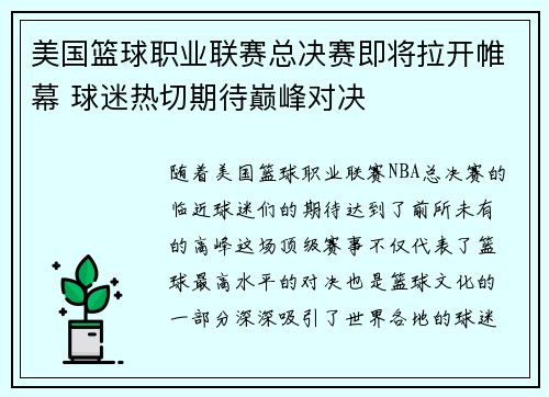 美国篮球职业联赛总决赛即将拉开帷幕 球迷热切期待巅峰对决
