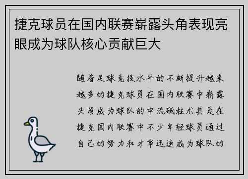 捷克球员在国内联赛崭露头角表现亮眼成为球队核心贡献巨大